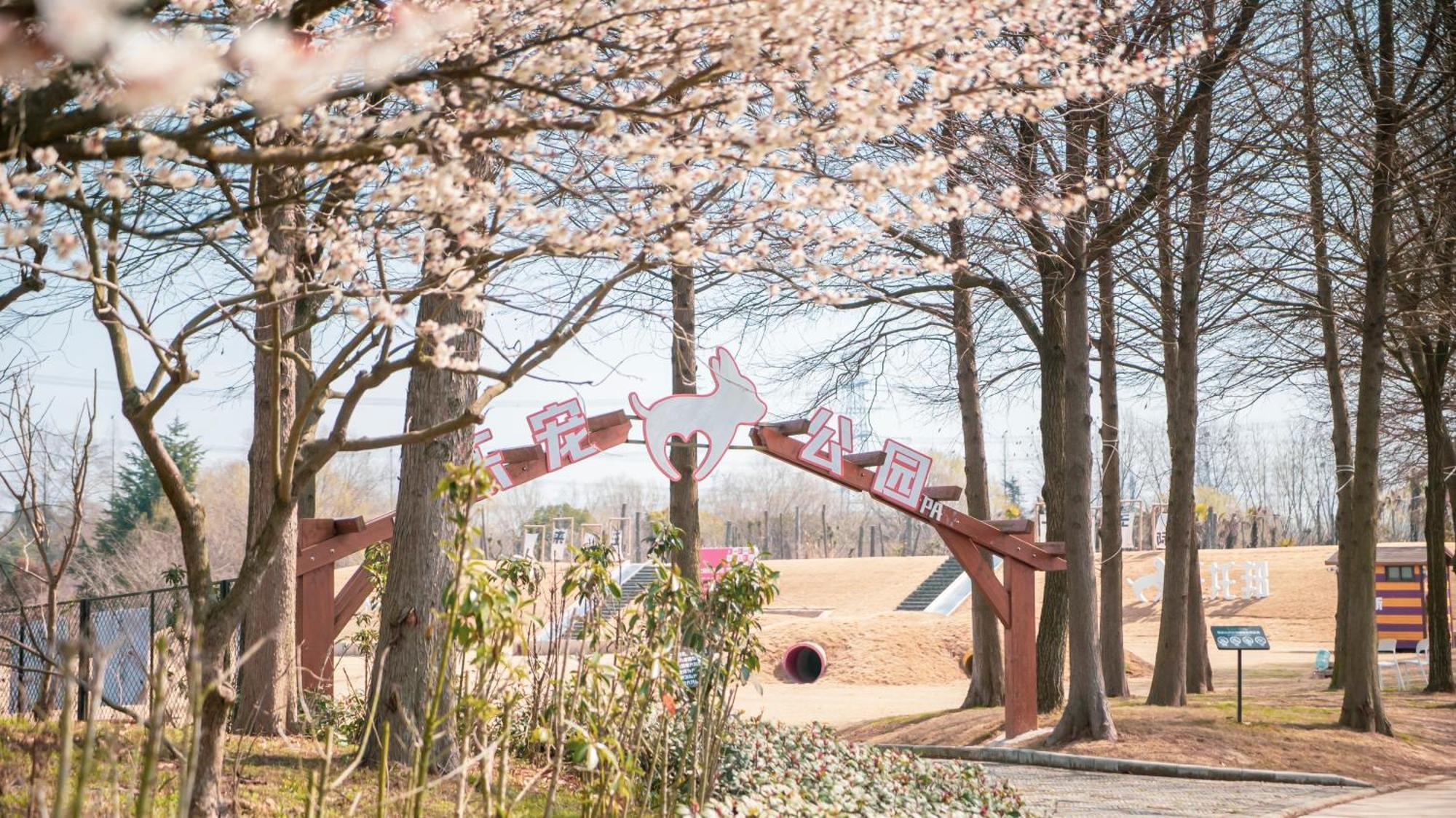 썬 아일랜드 리조트 상하이 Qingpu 외부 사진
